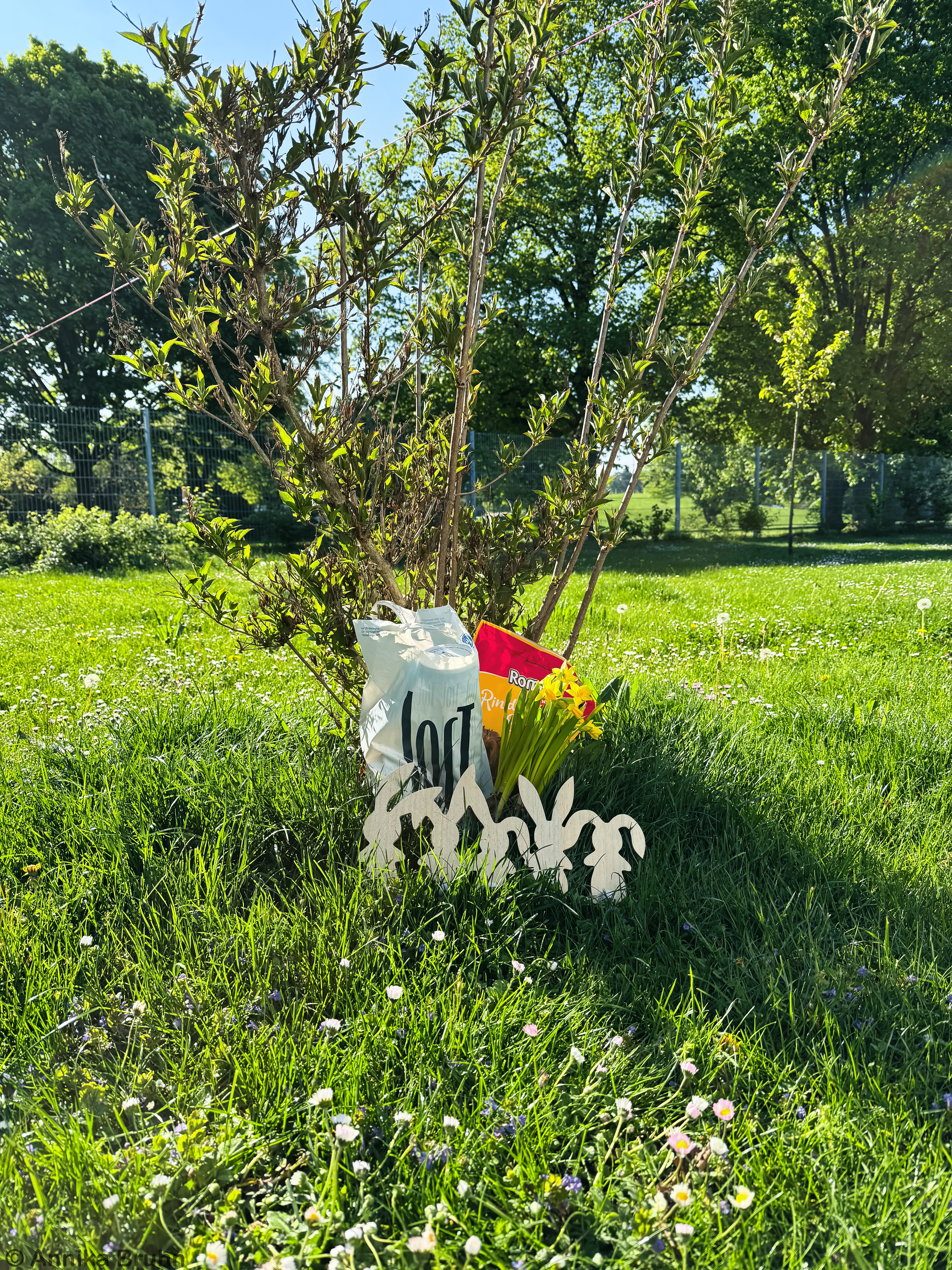 Der Osterhase war da